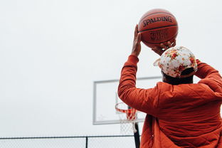 APP下载 LY Sports-篮球运动员训练计划个性化制定与实施，篮球运动员身体素质训练计划