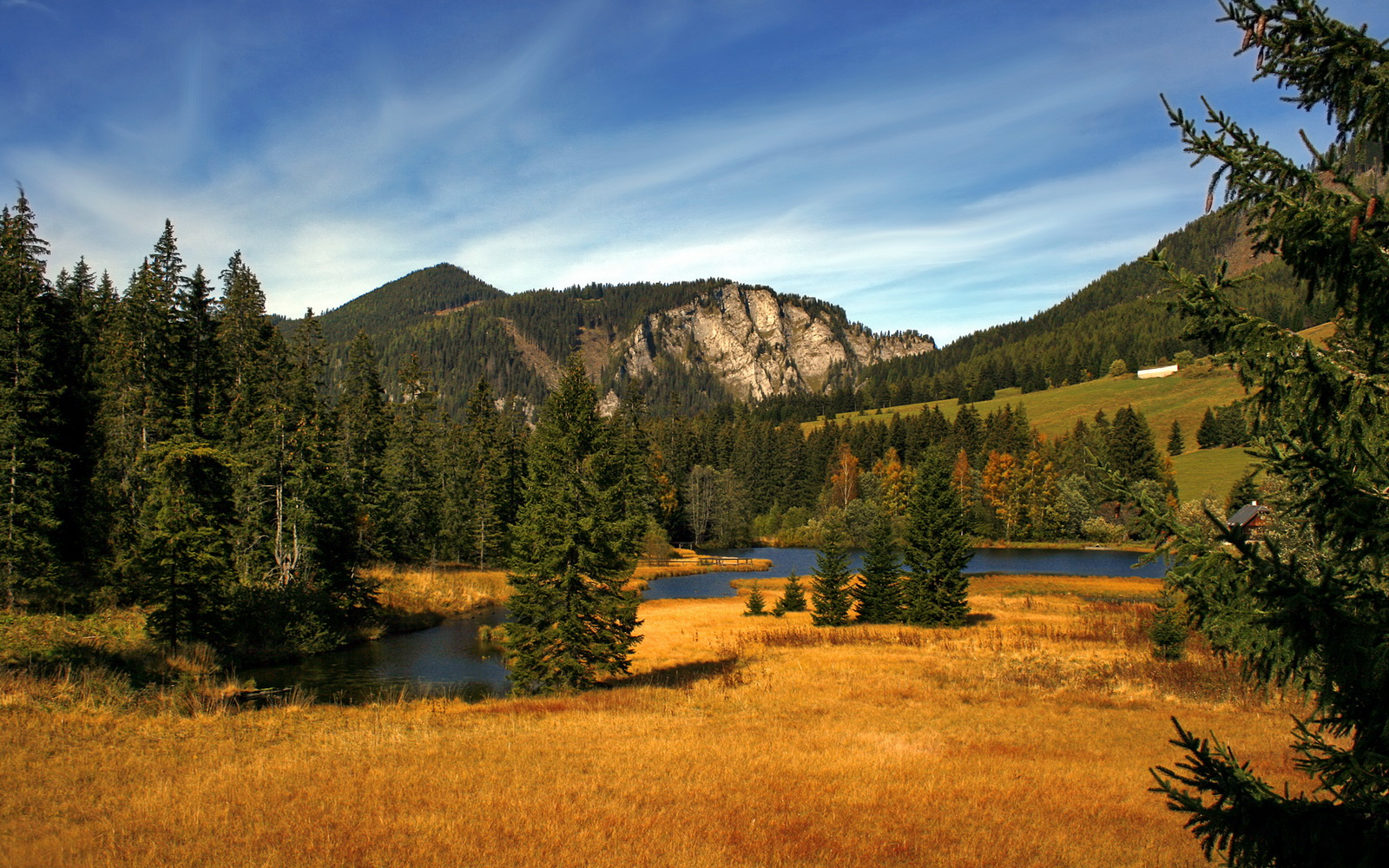 leyu乐鱼体育综合-尤文图斯中场调度精准增强控场能力，尤文图斯站位