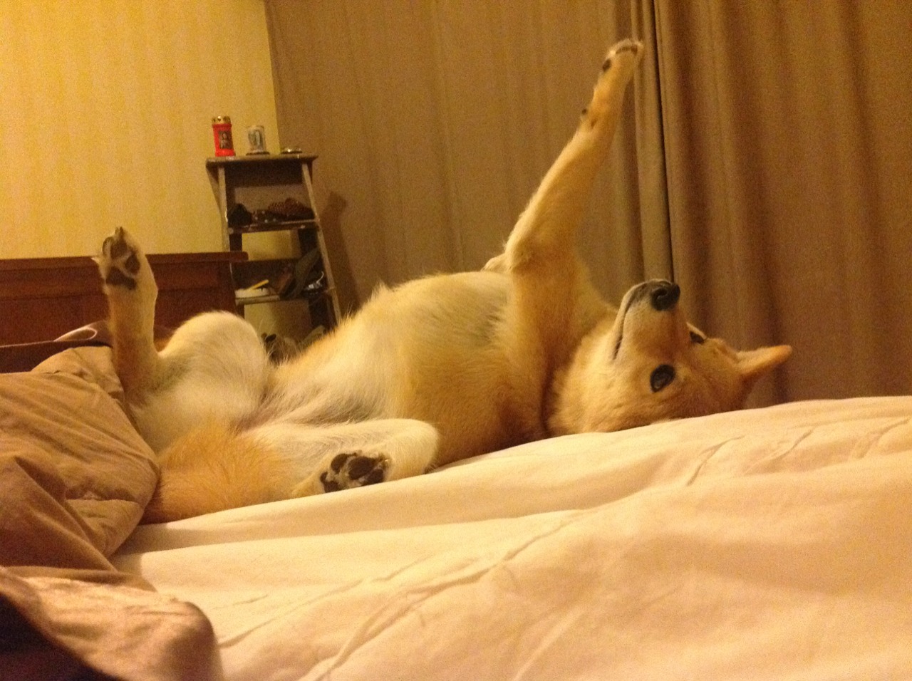 leyu乐鱼官网登录入口-新加坡队未来发展的关键：如何打破现有的国际赛事瓶颈，新加坡队第几个出场