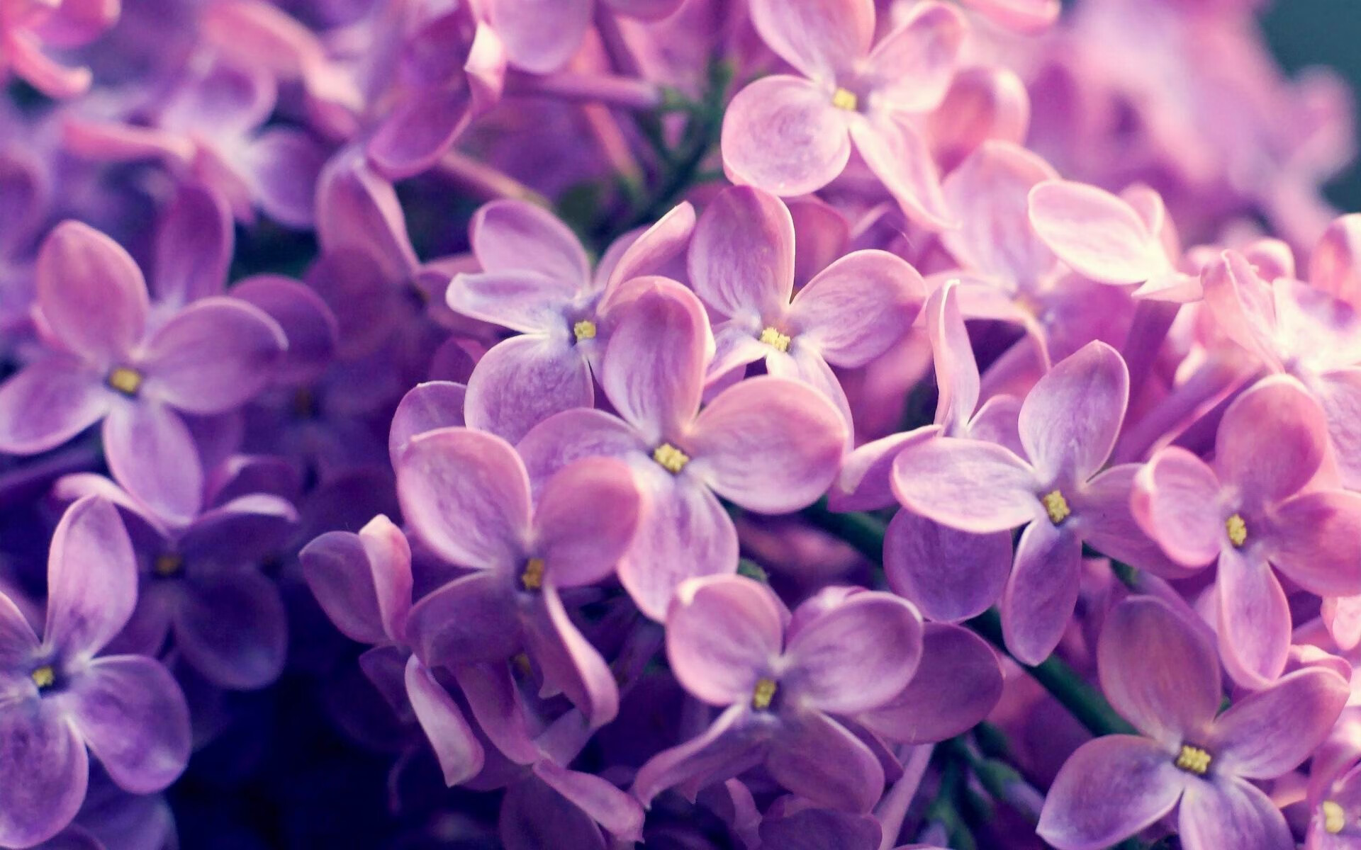 乐鱼电竞-英雄联盟版本理解成关键选手战术思路多元，英雄联盟选人顺序