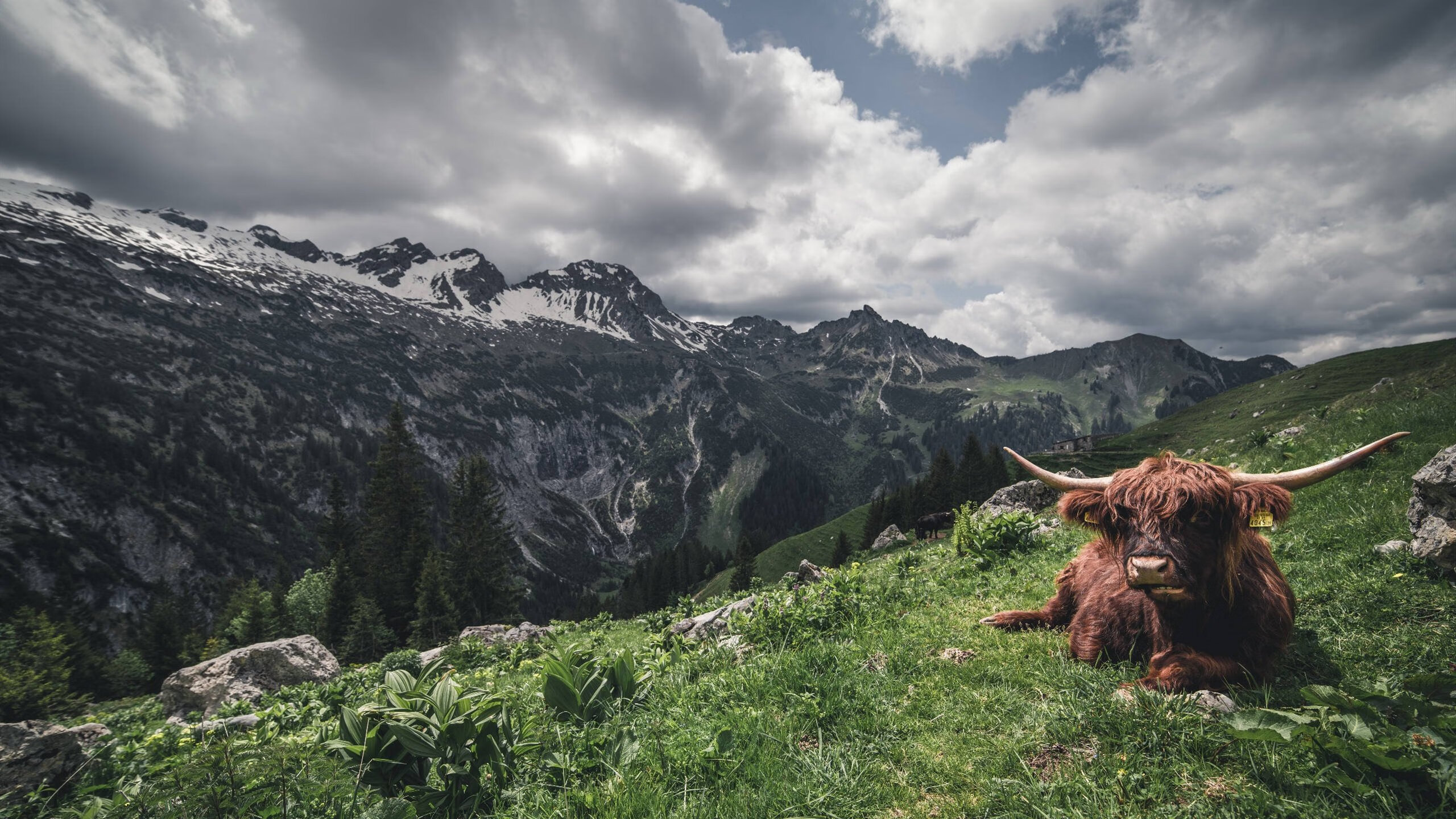比赛当晚突发情况处置及时赛事组织能力获得肯定,比赛过程中可能会出现哪些突发状况